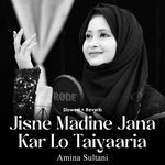 Jisne Madine Jana Kar Lo Taiyaaria (Lofi-Mix)