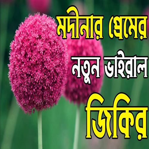 মদীনার প্রেমের ভাইরাল জিকির। বাংলা জিকির