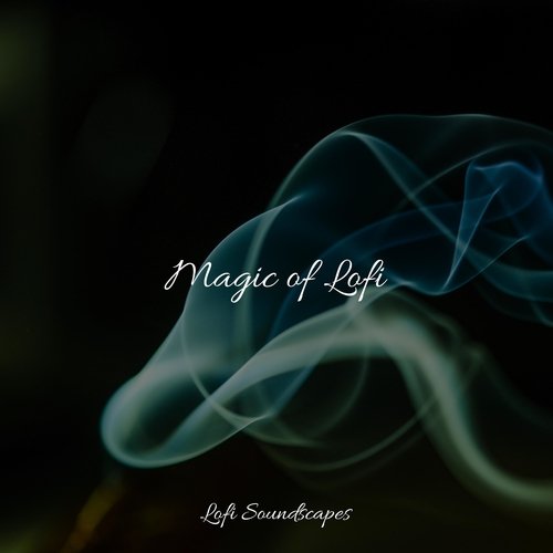 Magic of Lofi_poster_image