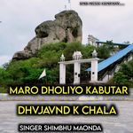 Maro Dholiyo kabutar dhvjavnd k chala