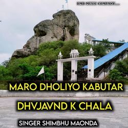 Maro Dholiyo kabutar dhvjavnd k chala