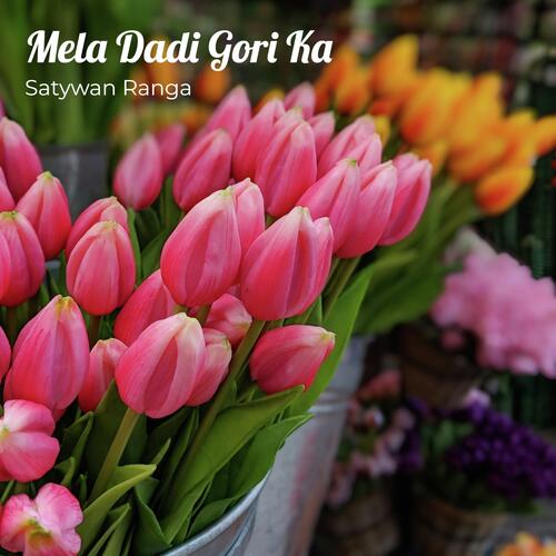 Mela Dadi Gori Ka