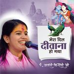 Mera Dil Diwana Ho Gaya artwork
