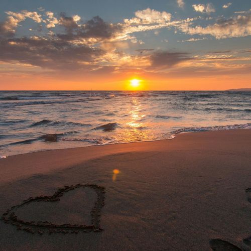 Midnight Sparkle 2026