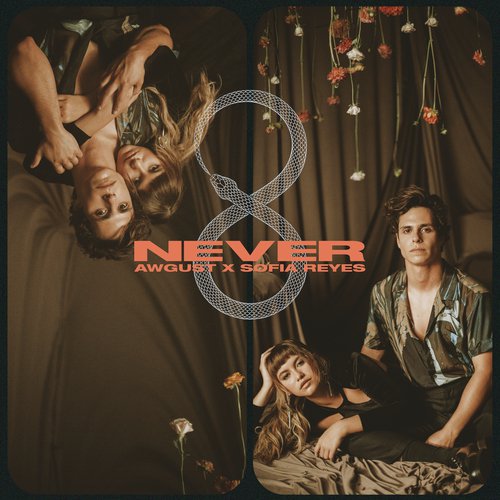 Never_poster_image