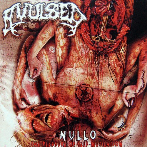 Nullo - The Pleasure of Self-Mutilation