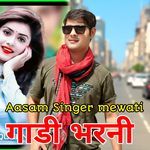 गाडी भरनी