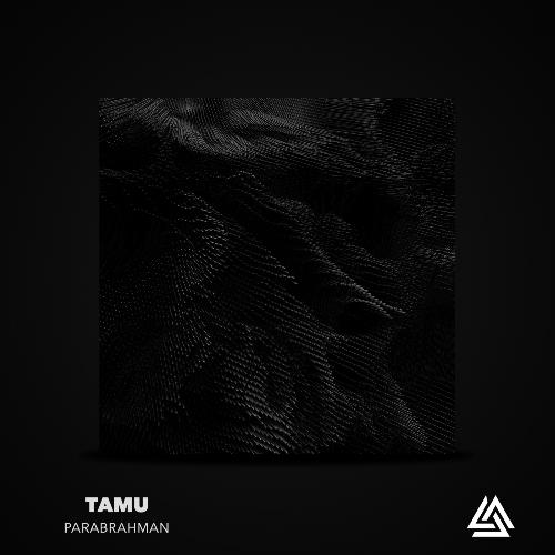 Sat Chit (Original Mix) cover art