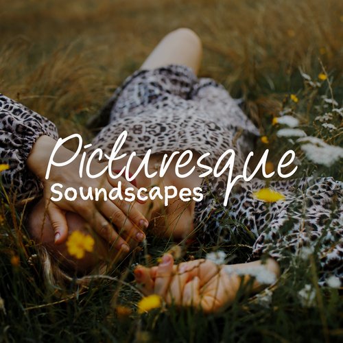 Picturesque Soundscapes: Soft Nature Sounds Collection (Relaxation, Wellness, Sleep, Studying)_poster_image