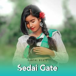 Sedai Gate-FBI8ZTlED1Y