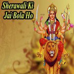 Sherawali Ki Jai Bola Ho