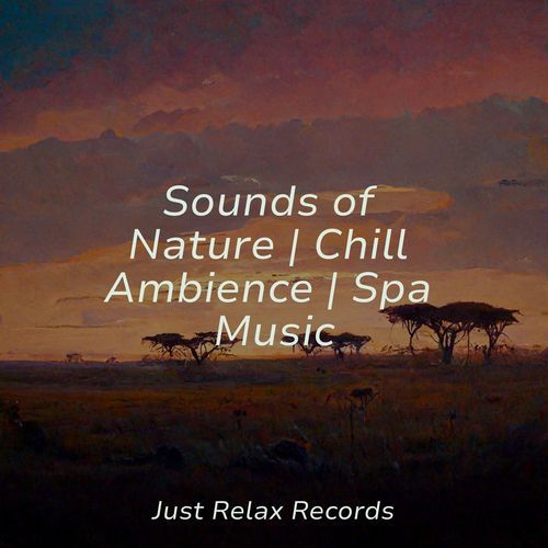 Sounds of Nature | Chill Ambience | Spa Music