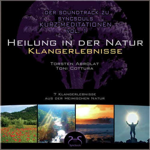 Soundtrack zu SyncSouls - Heilung in der Natur - Klangerlebnisse - Entspannen, Meditation, Einschlafhilfe - Sonne, Wald, Wiese, Fluß, Meer, Landschaften, Schnee