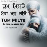 Tum Milte Mera Mann Jio