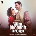 Wajah Dhoondh Rahi Hoon