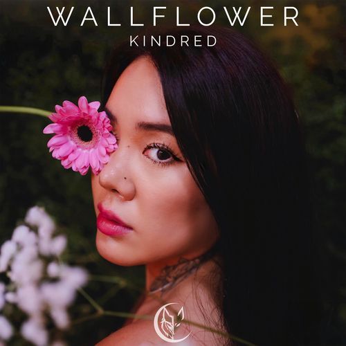 Wallflower_poster_image