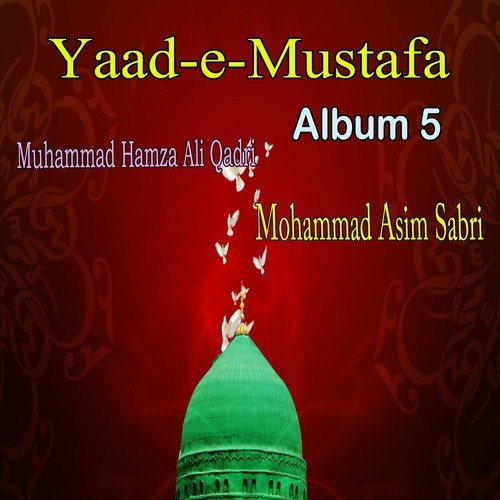 Yaad-e-Mustafa, Al. 5