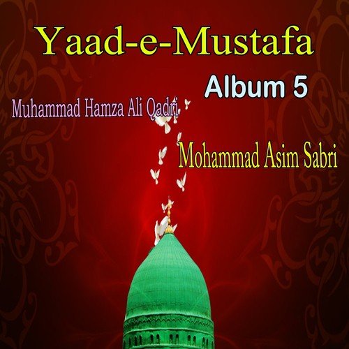 Yaad-e-Mustafa