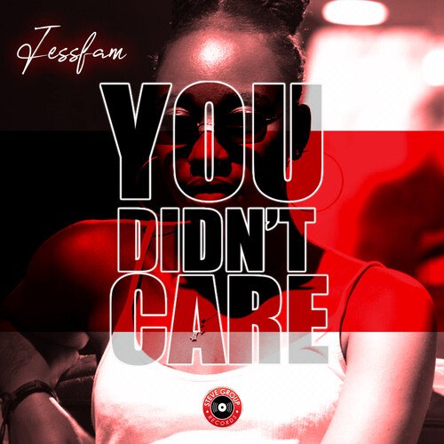 You Didn&#039;t Care_poster_image