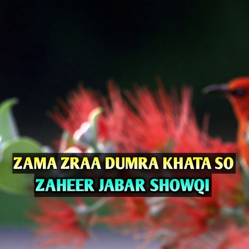 ZAMA ZRAA DUMRA KHATA SO