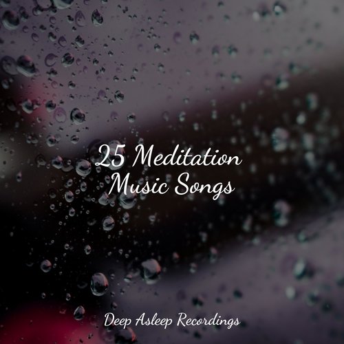 25 Meditation Music Songs
