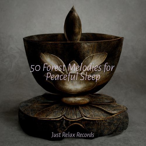 50 Forest Melodies for Peaceful Sleep