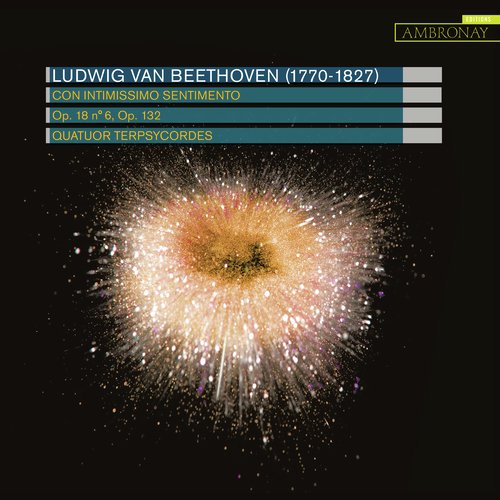 Beethoven: Con intimissimo sentimento