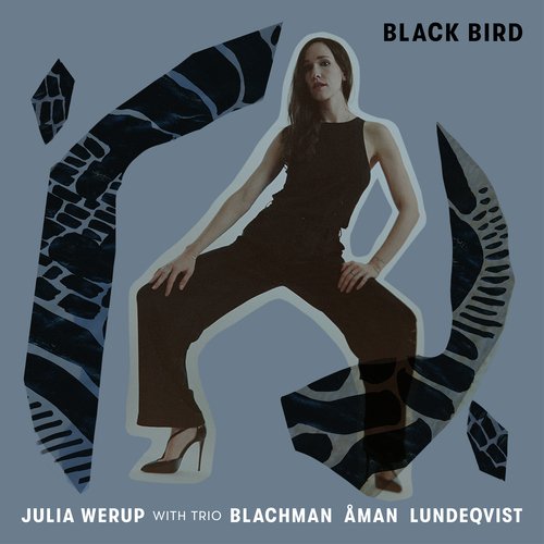 Black Bird_poster_image