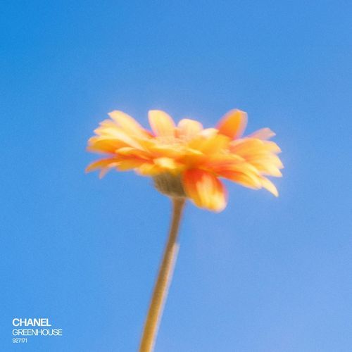 Chanel (Chill House Version - sped up)