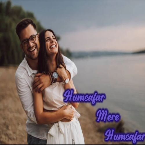 Humsafar mere Humsafar