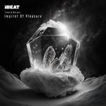 Imprint of Pleasure