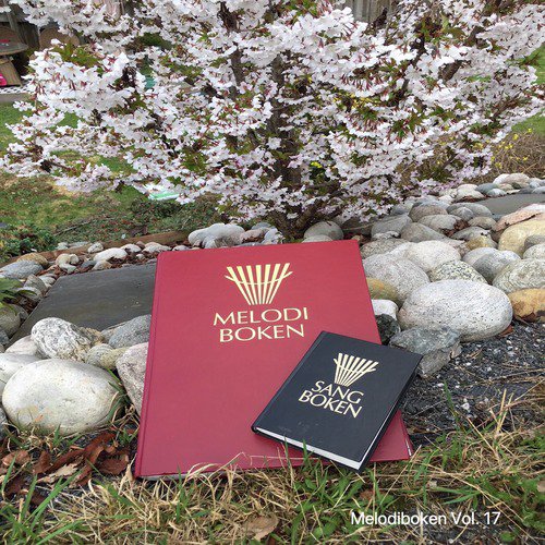 Melodiboken Vol. 17
