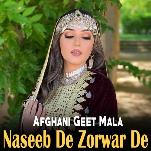 Naseeb De Zorwar De