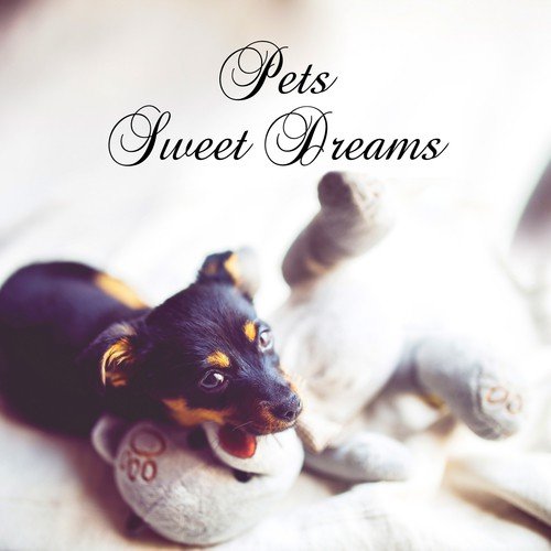 Pets Sweet Dreams – Calming Music for Dogs and Cats, Relaxation Therapy, Soothing Sounds, Pets Lullaby