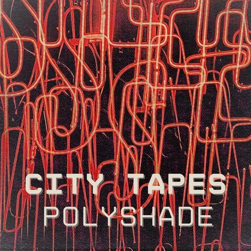 Polyshade cover art