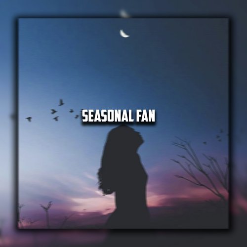 Seasonal Fan