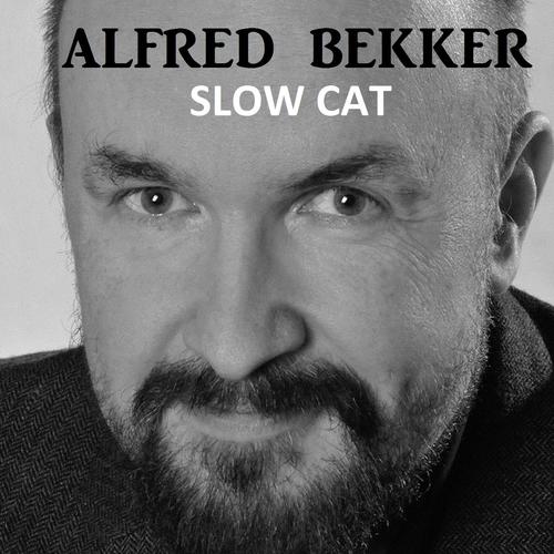 Slow Cat cover art