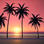 She Will Be Loved (sped up + reverb)