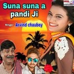 Suna suna a pandi ji (maithili)