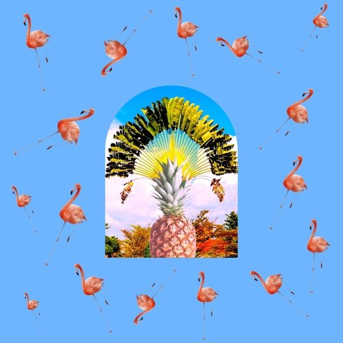 Sunny Side Up cover art