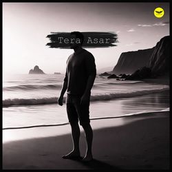 Tera Asar