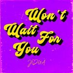 Won't Wait For You (Radio Edit)