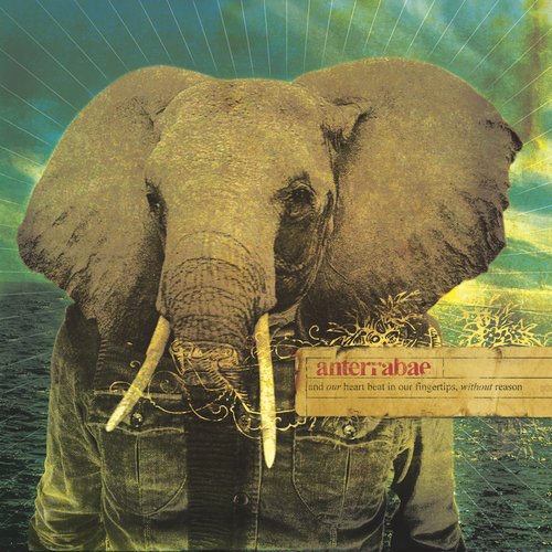 An Albatross Around The Neck cover art