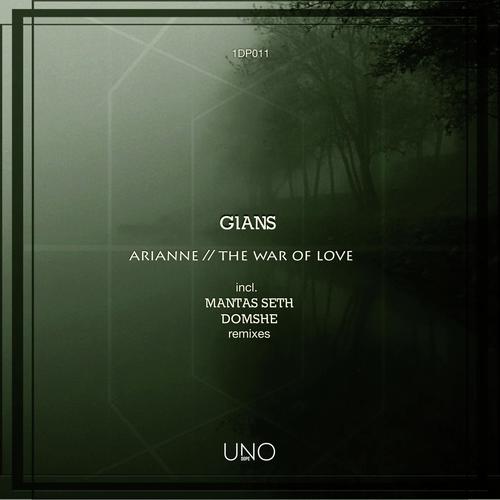 Arianne (Domshe Remix) cover art