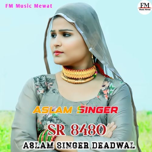 Aslam Singer SR 8480