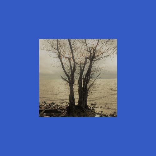 Nightnoise cover art