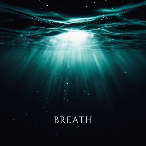 Could Fly High cover art