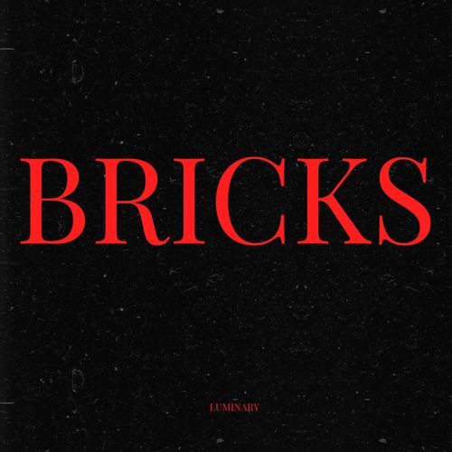 Bricks