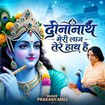 Dinanath Meri Laaj Tere Haat Hai