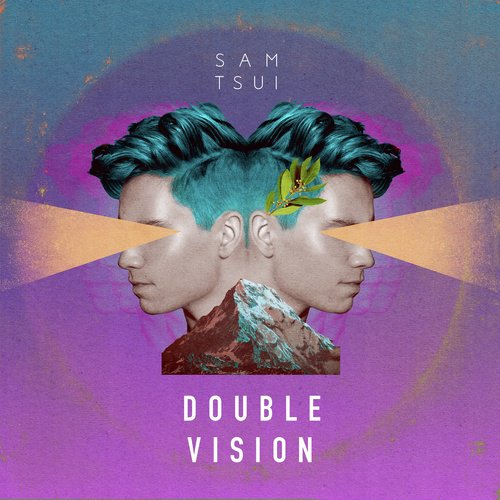 Double Vision_poster_image